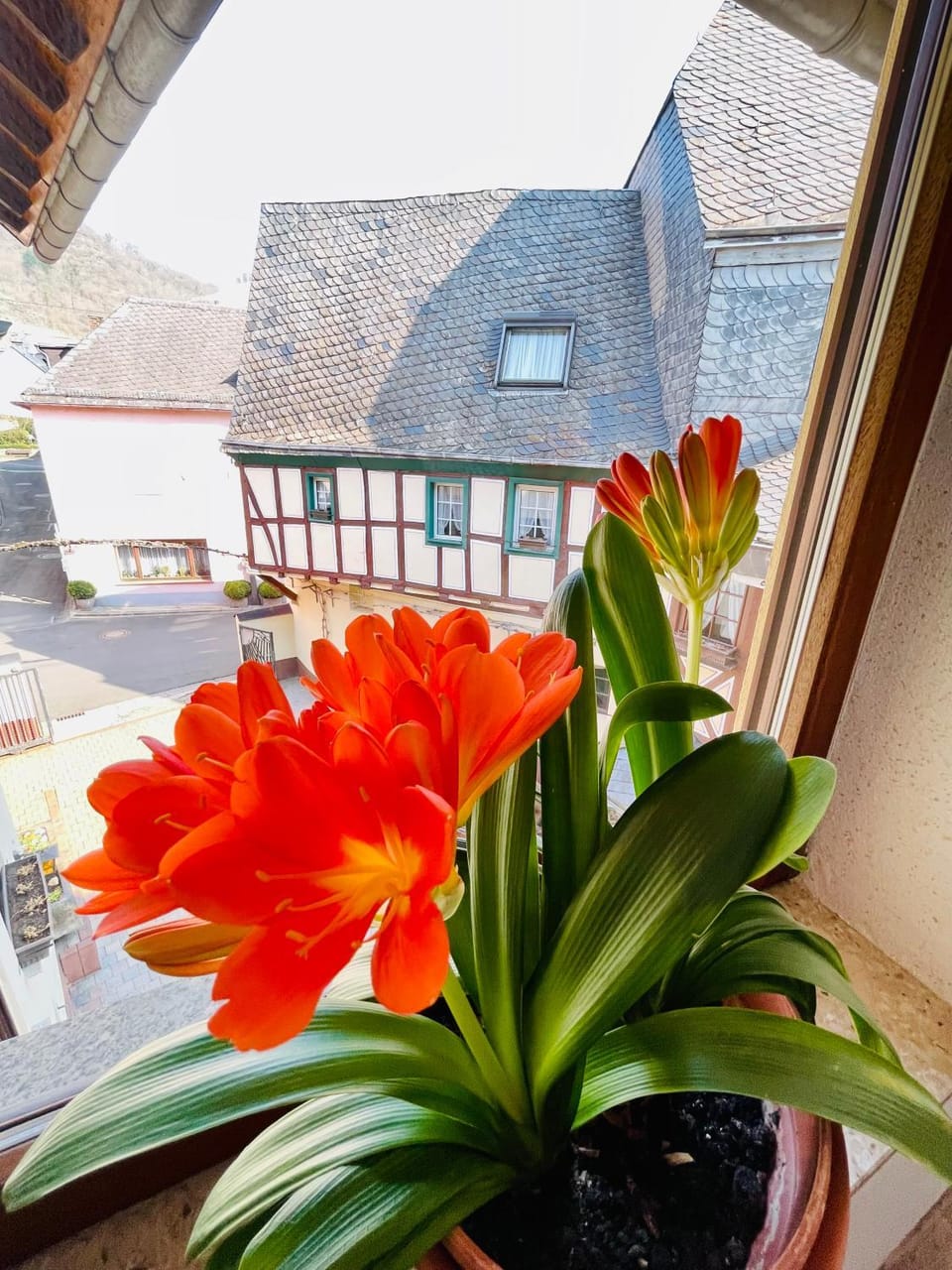 Property building, Balcony/Terrace