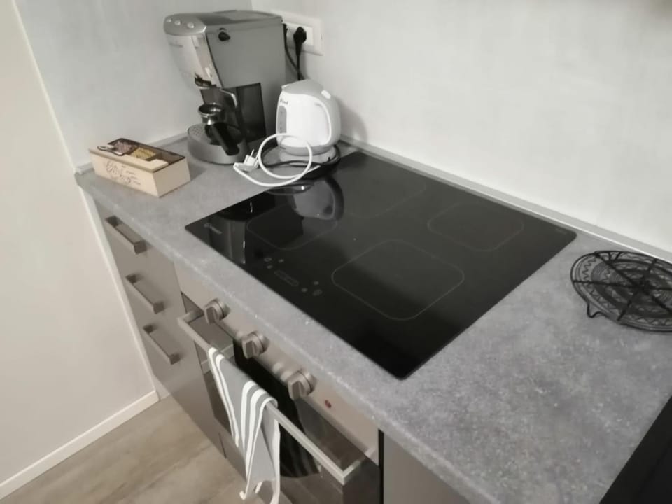 Il piccolo giardino Apartment in Pisa