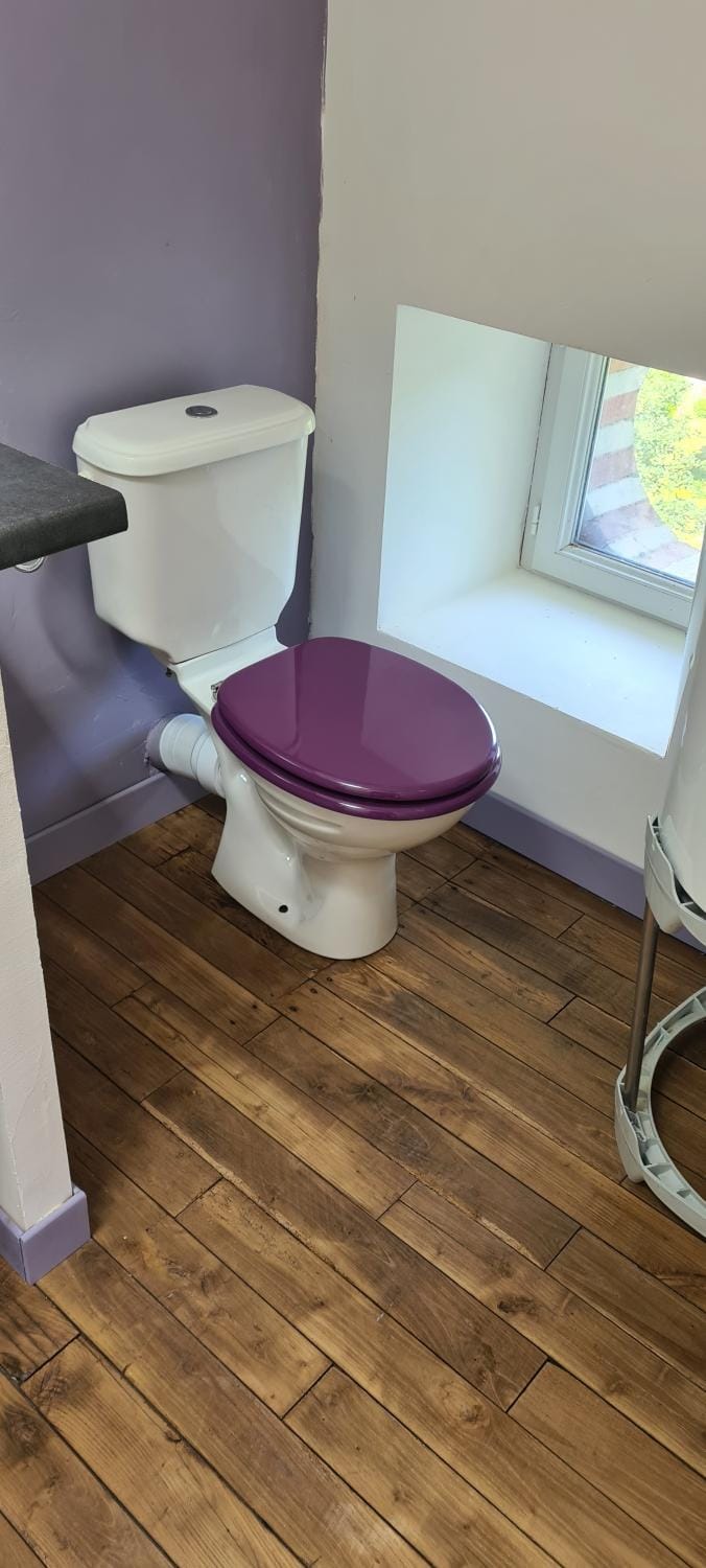Toilet