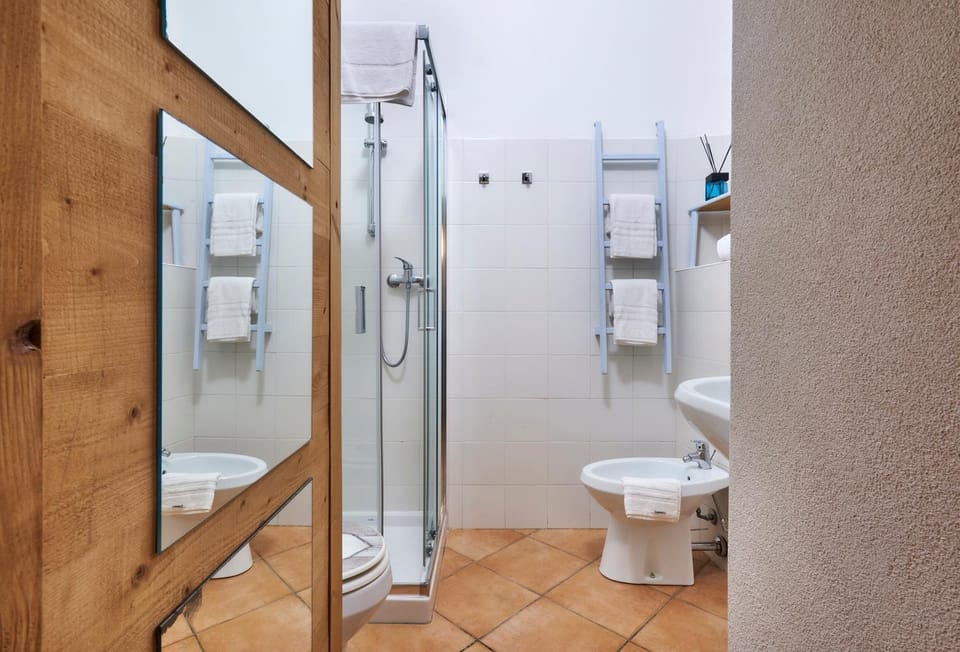 Shower, Toilet, Bathroom, bidet, towels