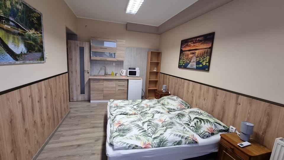 Apartmán 1 Hradná 9 Apartment in Slovakia