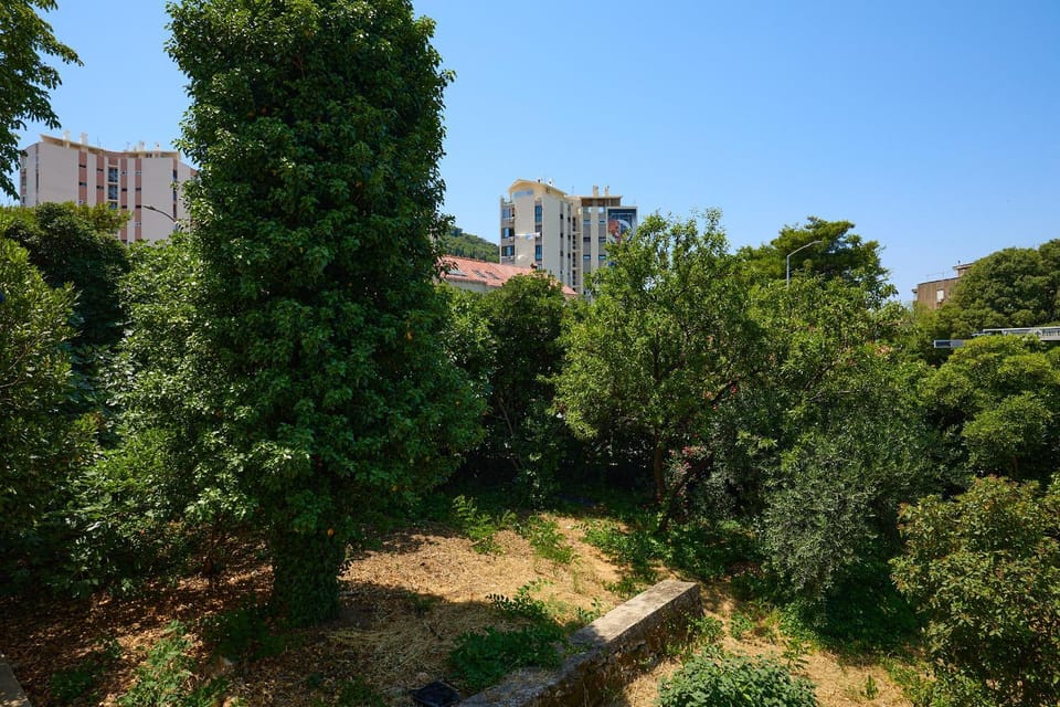 Neighbourhood, View (from property/room)