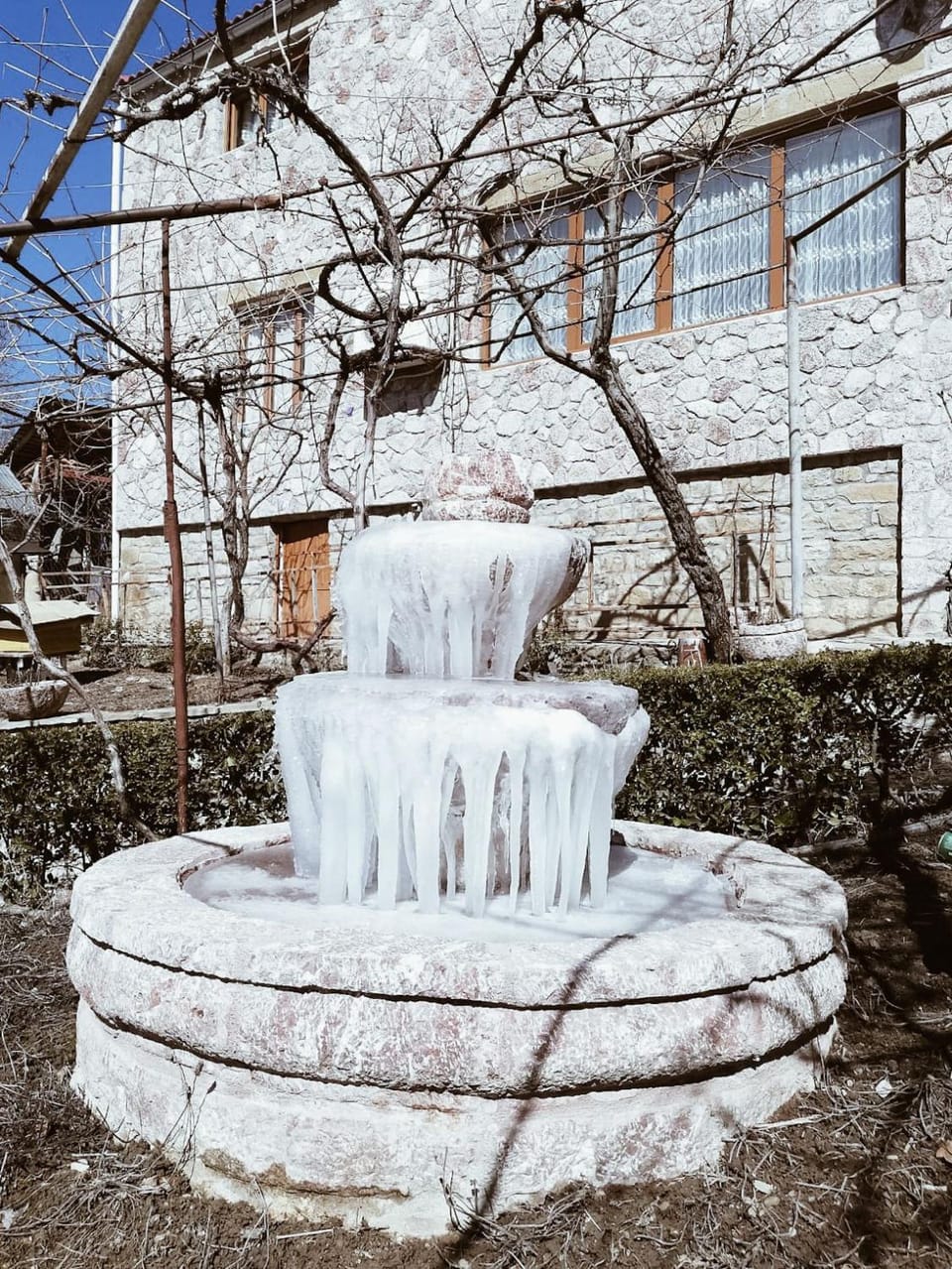 Winter