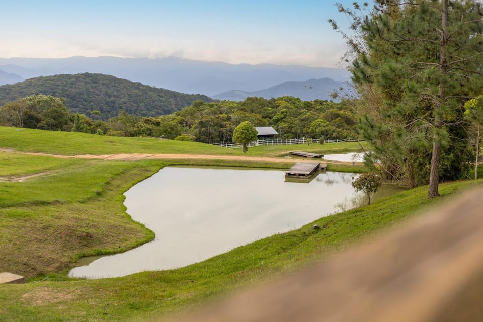 Lake view
