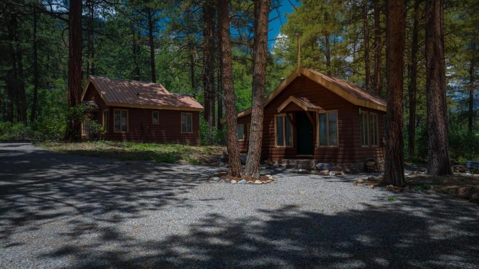151 CR 200 Studio Cabin Cabin in La Plata County