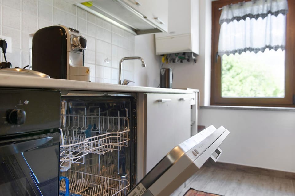 Kitchen or kitchenette, dishwasher, oven, stove