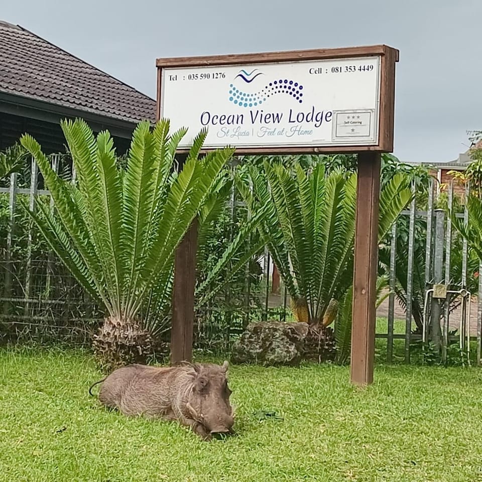 Logo/Certificate/Sign