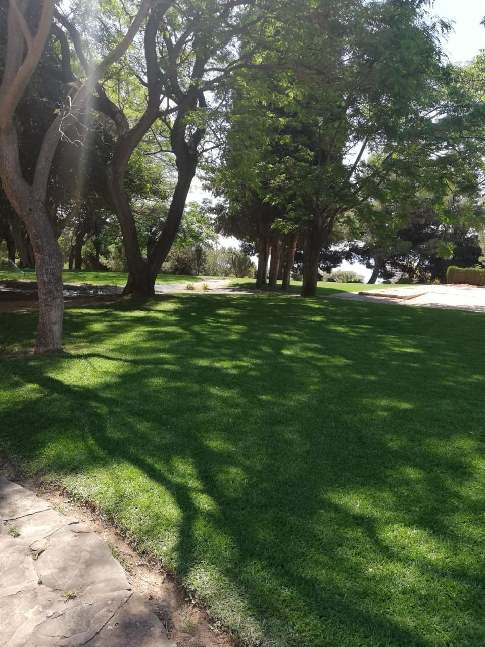 Garden, Garden, Garden view