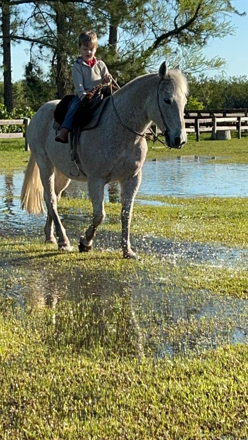Garden, Horse-riding