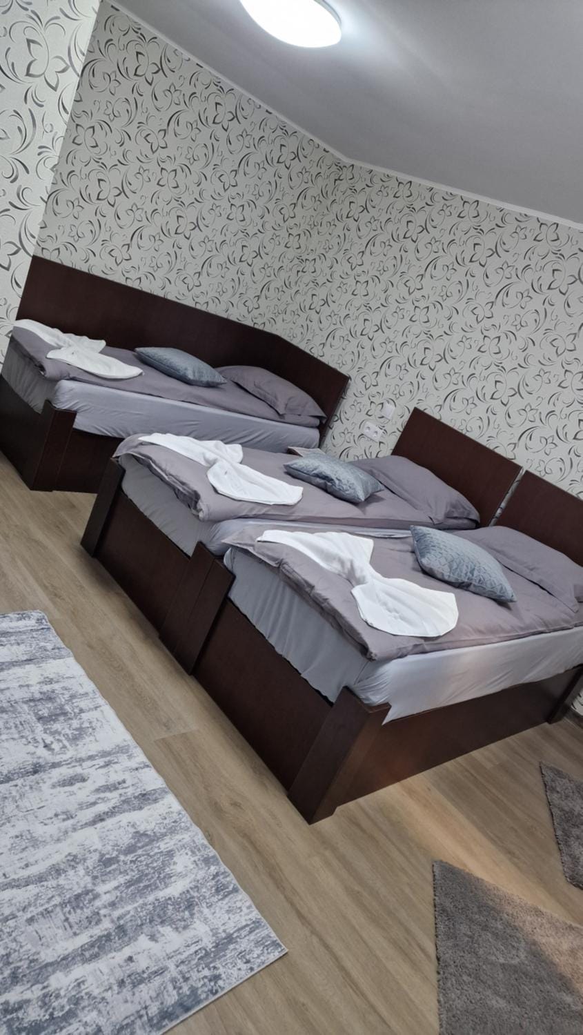 La Olteanu Bed and Breakfast in Romania