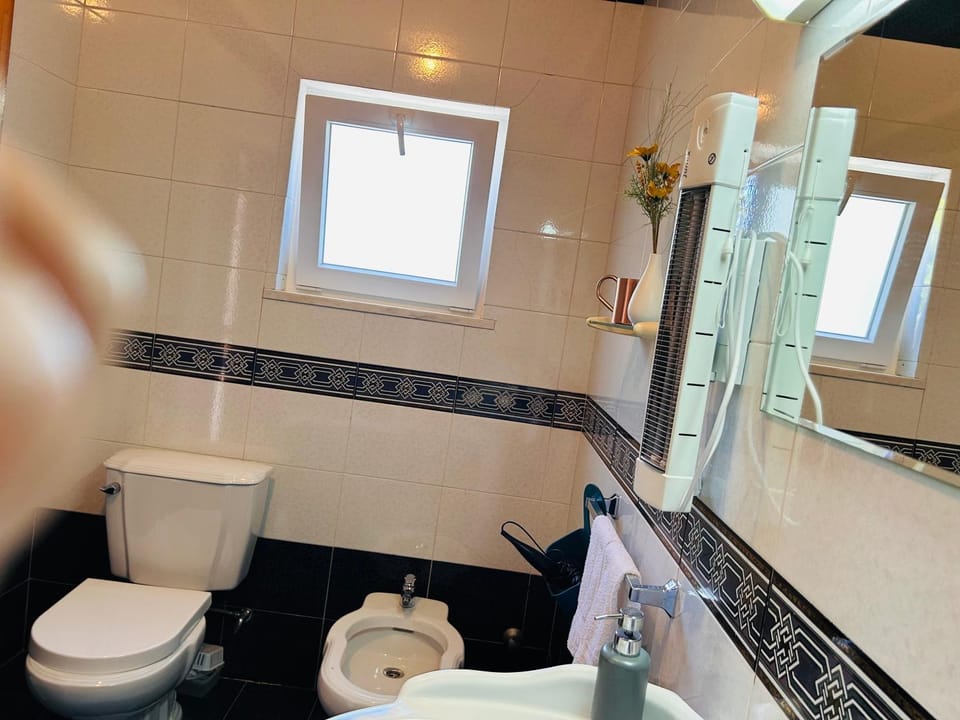 Toilet, bidet, hair dryier