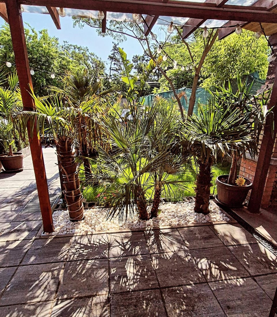 Vila Draghici Bed and Breakfast in Constanța County