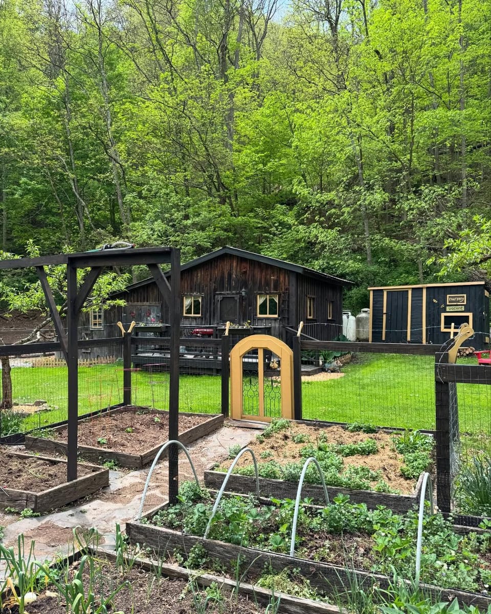 Garden view