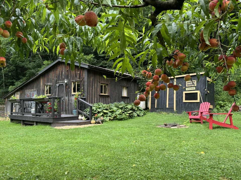Property building, Garden, Garden view