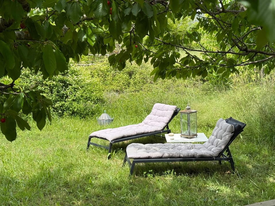 Cabanon bucolique face au Luberon Country House in Lourmarin