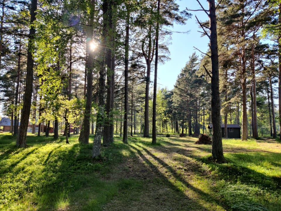 Natural landscape, Garden