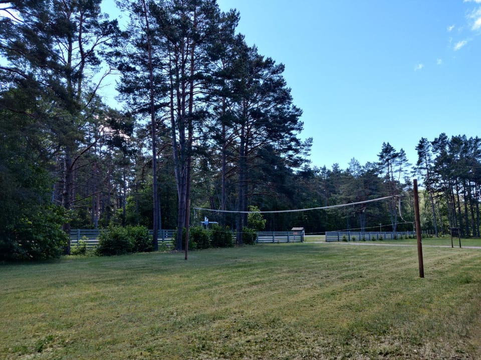 Activities, Children play ground
