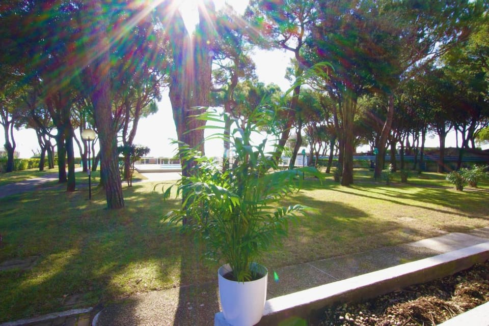 Park Residence 1 - Home Immobiliare Apartment in Lido di Jesolo