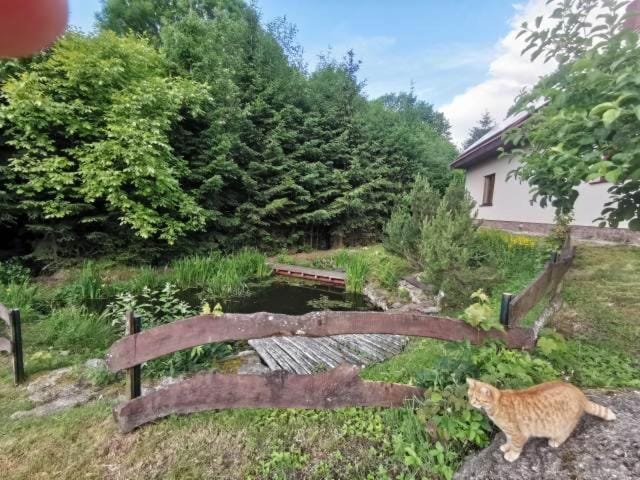 Jaworowy Stok z widokiem na góry i ogrodem Villa in Lower Silesian Voivodeship