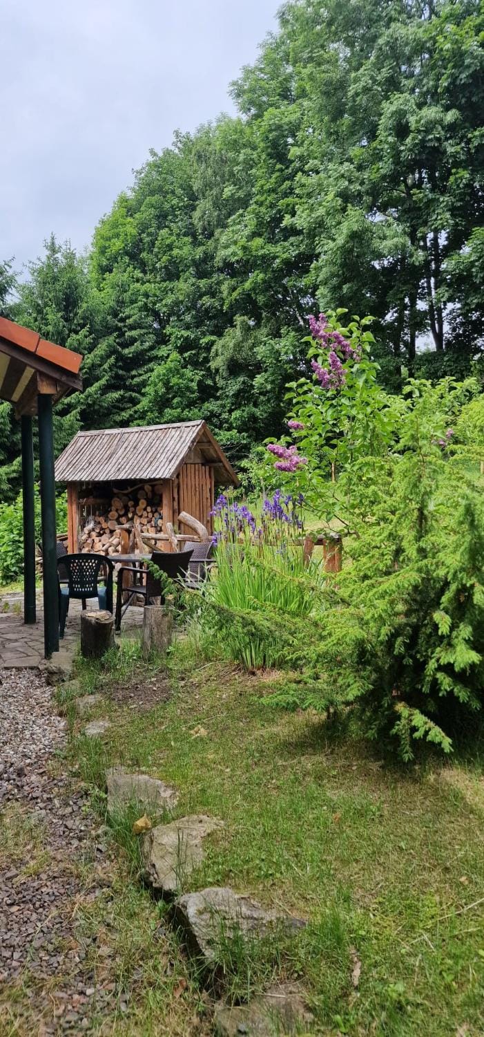 Jaworowy Stok z widokiem na góry i ogrodem Villa in Lower Silesian Voivodeship
