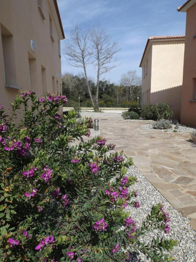 Appartement T2 dans résidence avec piscine Apartment in Corsica