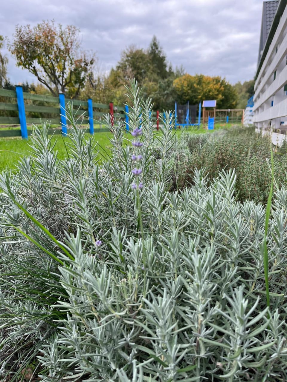 Garden, Garden view