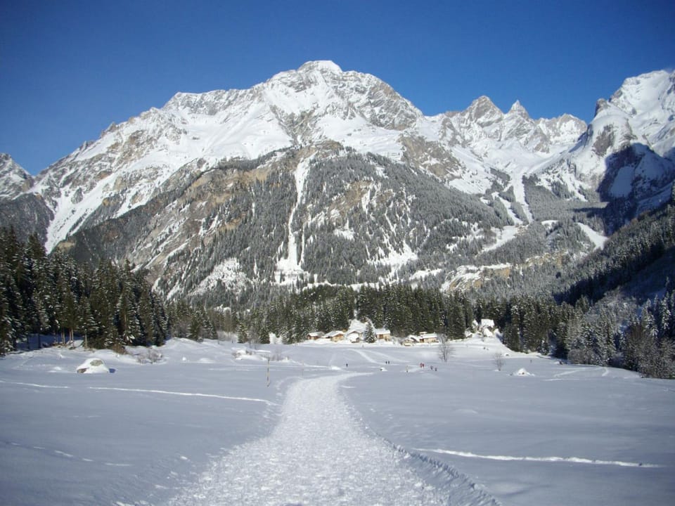 Appartement Montana 8 Apartment in Pralognan-la-Vanoise