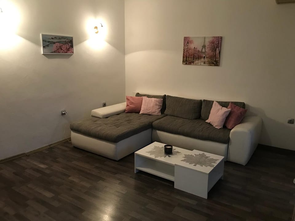 Pocanic's apartment Apartment in Dobrota