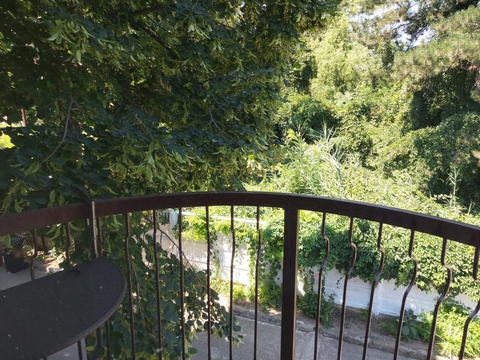 Vila de pe Lac Amara Bed and Breakfast in Constanța County