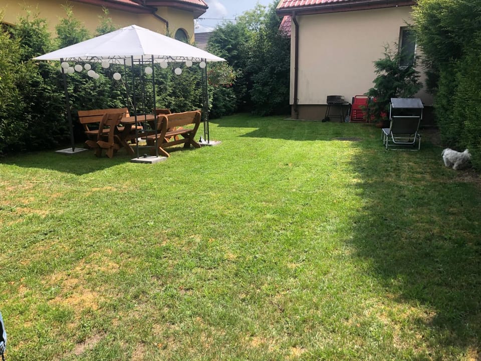 Spring, Natural landscape, Garden, Garden view