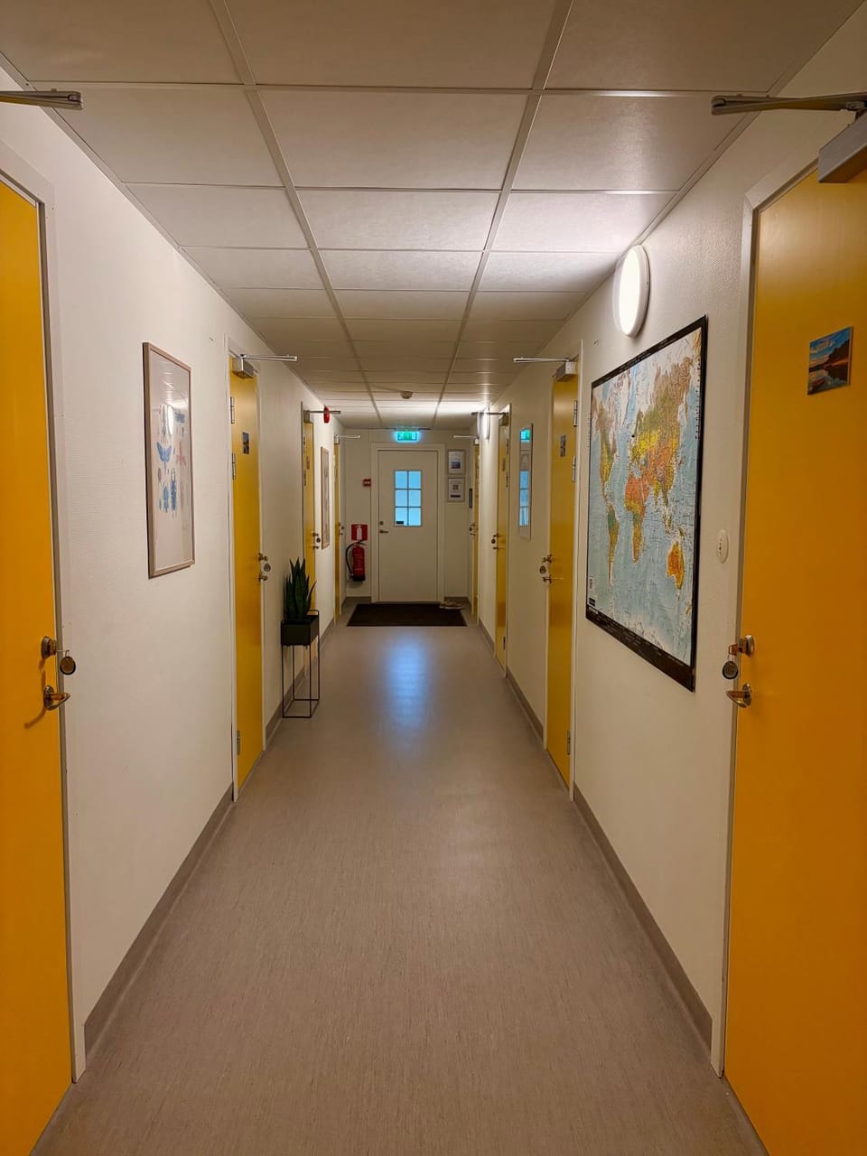 Photo of the whole room