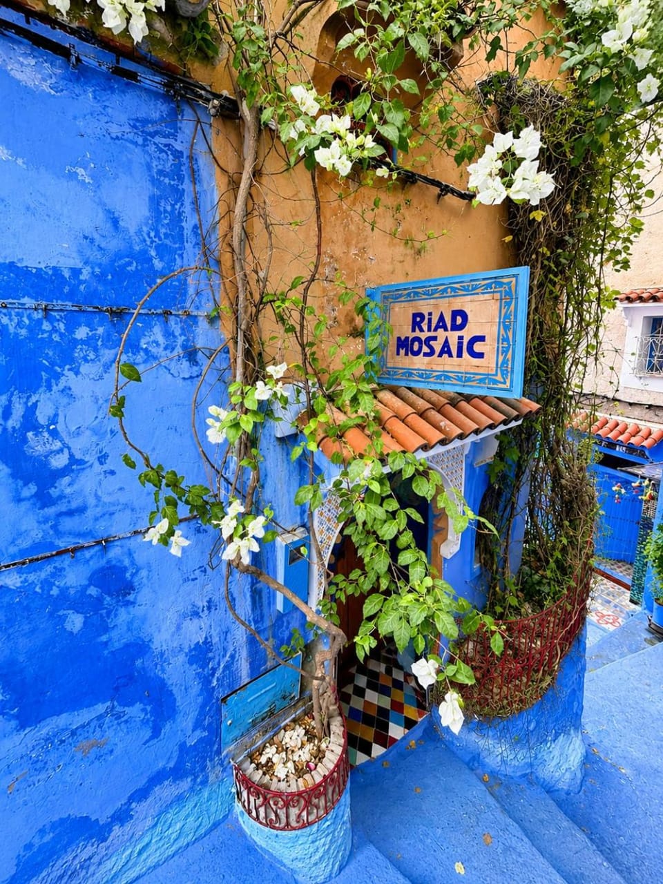 Facade/entrance, Day, Garden
