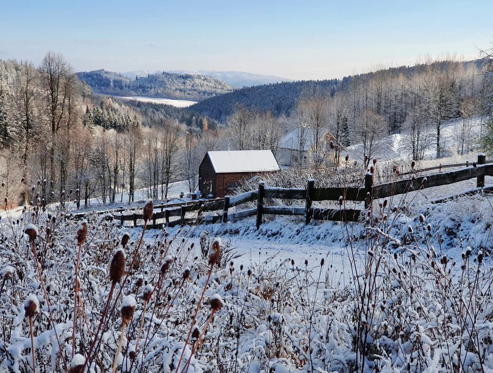 Winter, Mountain view