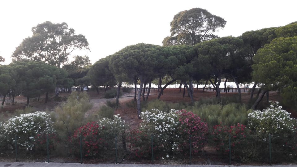 Natural landscape