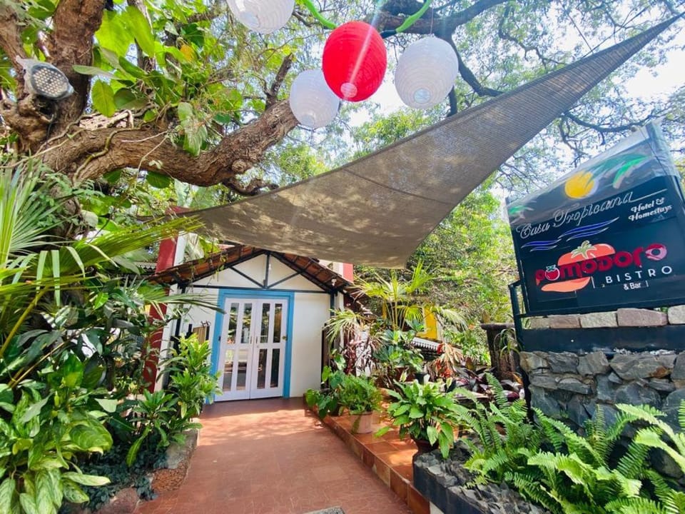 Facade/entrance, Garden