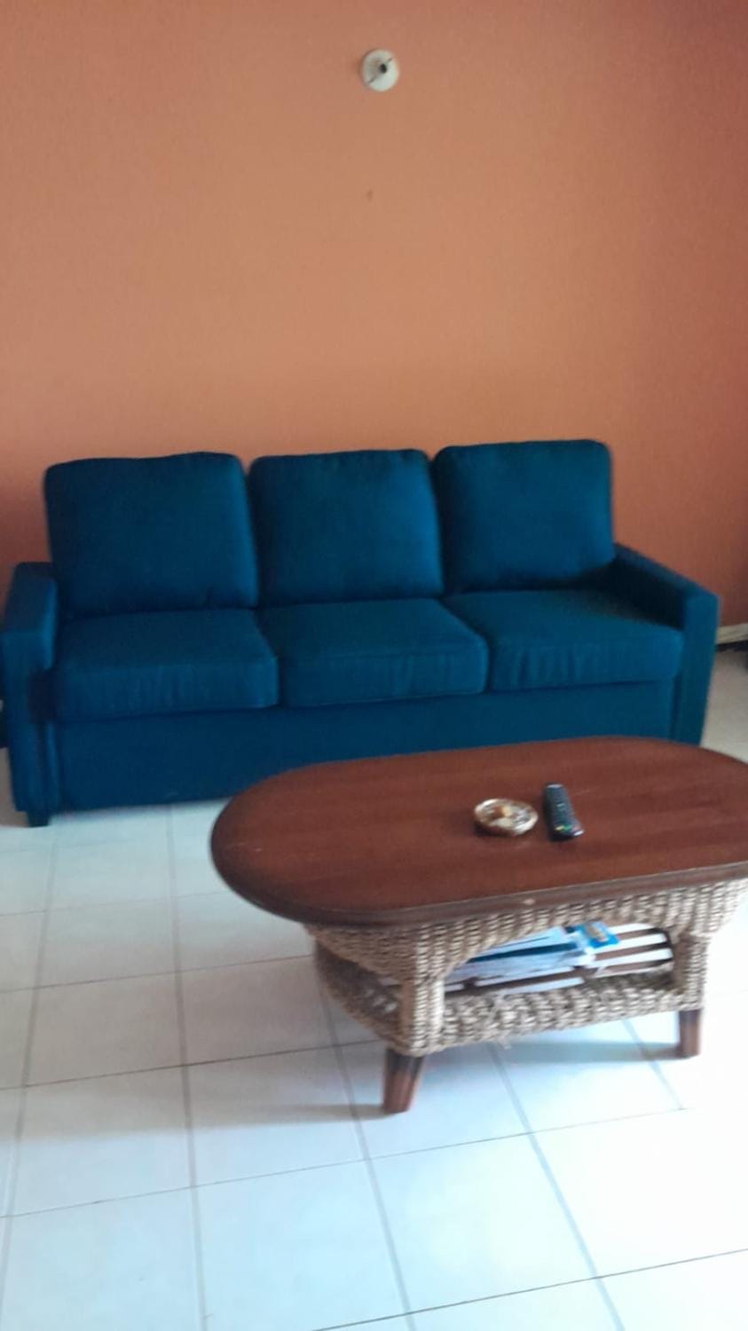 Luxury Villa rentals Apartment in St. James Parish