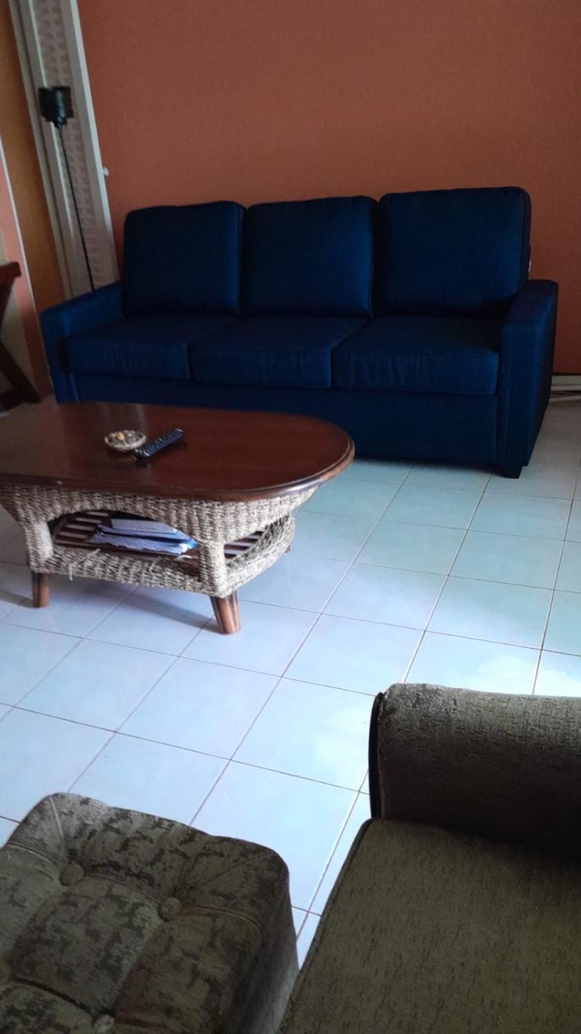 Luxury Villa rentals Apartment in St. James Parish