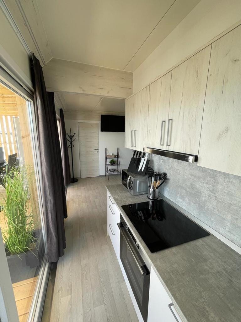 Kitchen or kitchenette, dishwasher, oven, stove