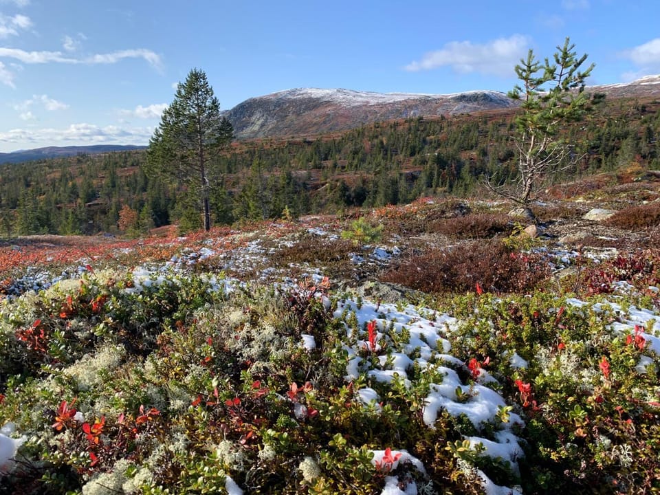 Day, Natural landscape, Hiking, Autumn, Mountain view