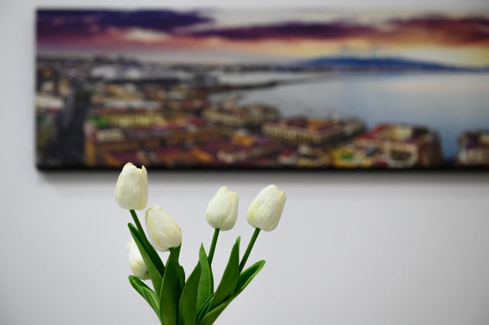 Manu Family House Apartment in Naples