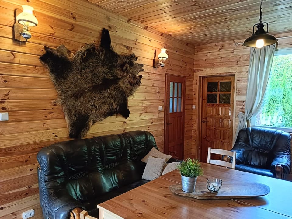 Domek JEZIORACZEK BIS House in Poland