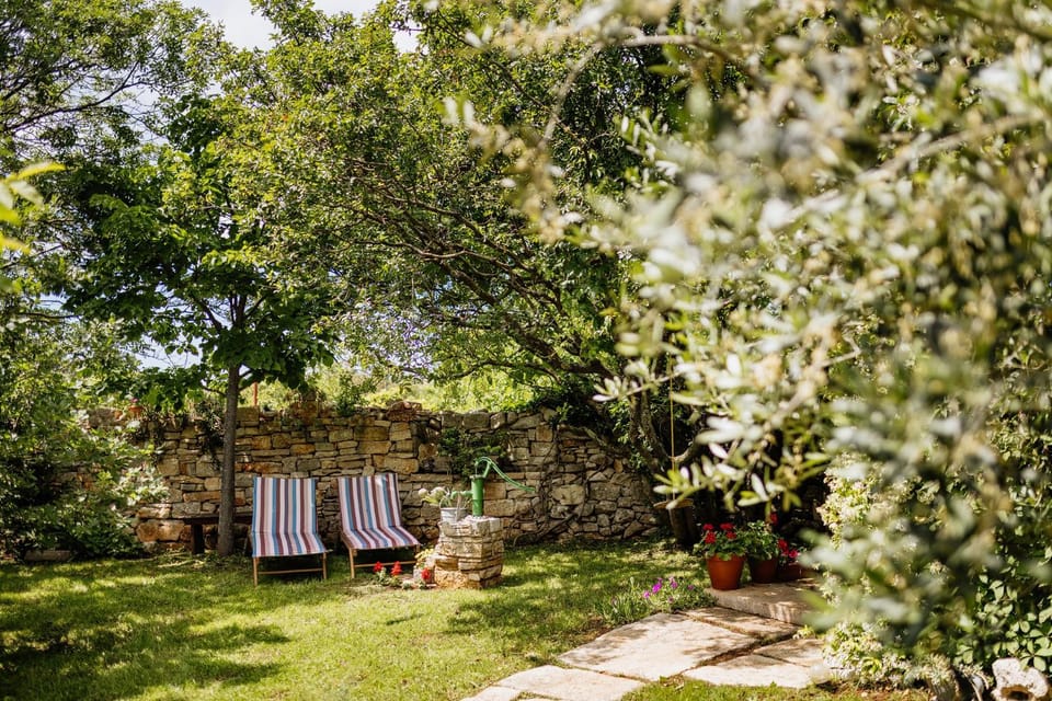 Day, Natural landscape, Garden