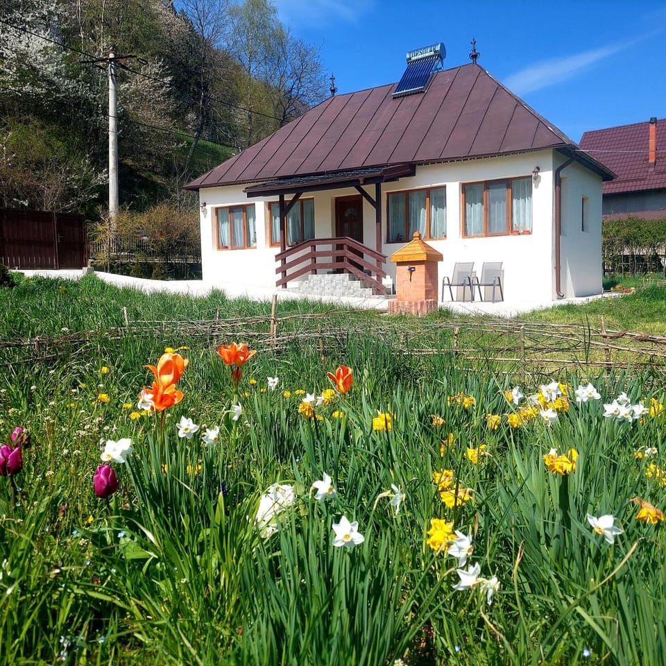 La numărul 100, Nămăești House in Romania
