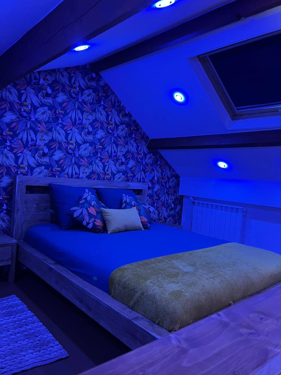 Bed, Photo of the whole room, Bedroom