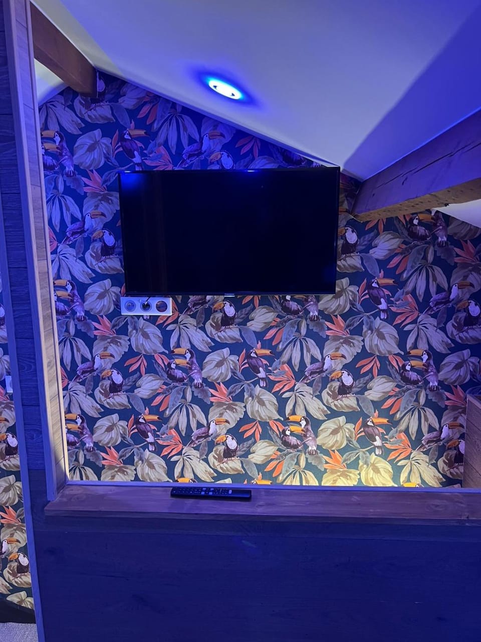 TV and multimedia, Evening entertainment