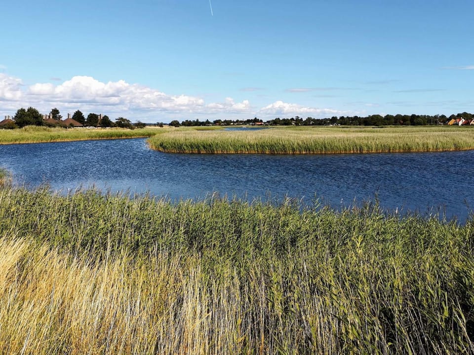 Lake view