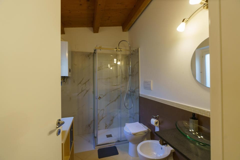 Shower, Toilet, Bathroom, towels