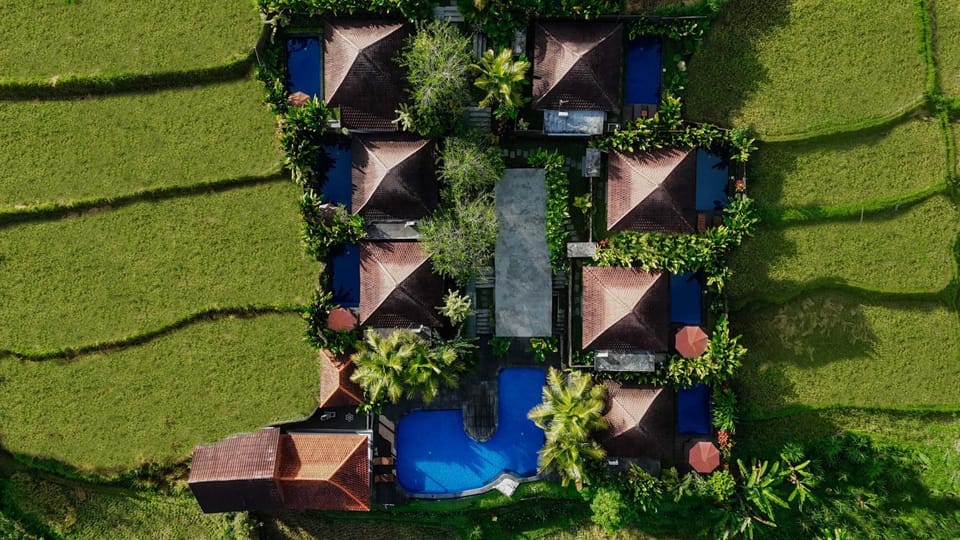 Property building, Day, Natural landscape, Bird's eye view, Garden, Garden view, Pool view, Swimming pool
