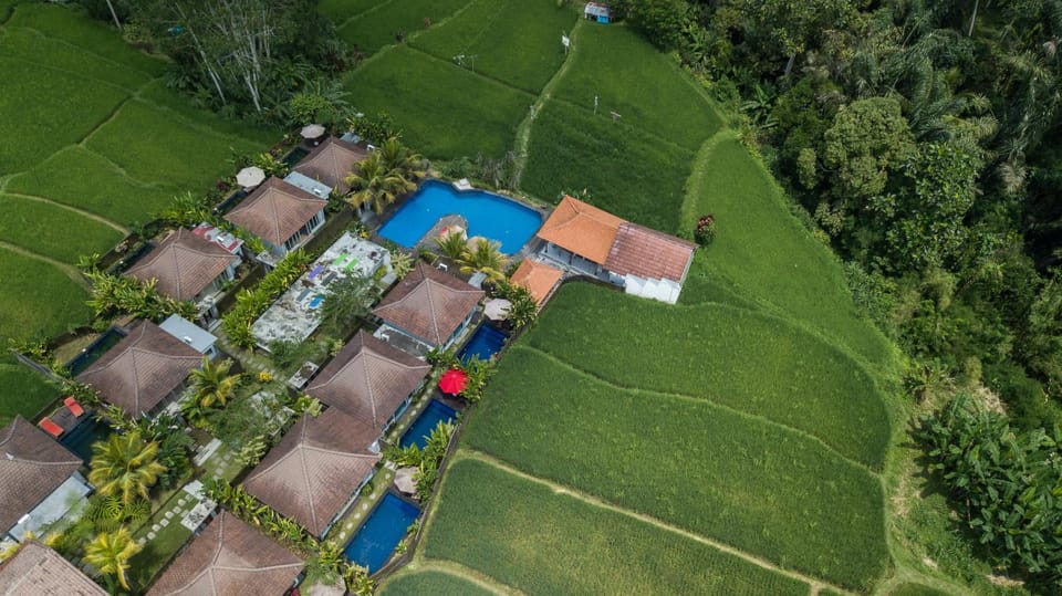 Property building, Day, Natural landscape, Bird's eye view, Garden view, Pool view, Swimming pool