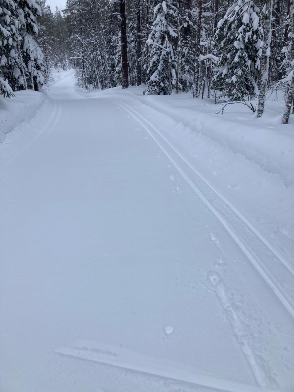 Natural landscape, Winter, Skiing, Skiing